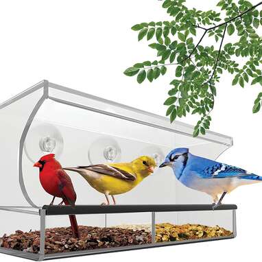 best window mounted bird feeder